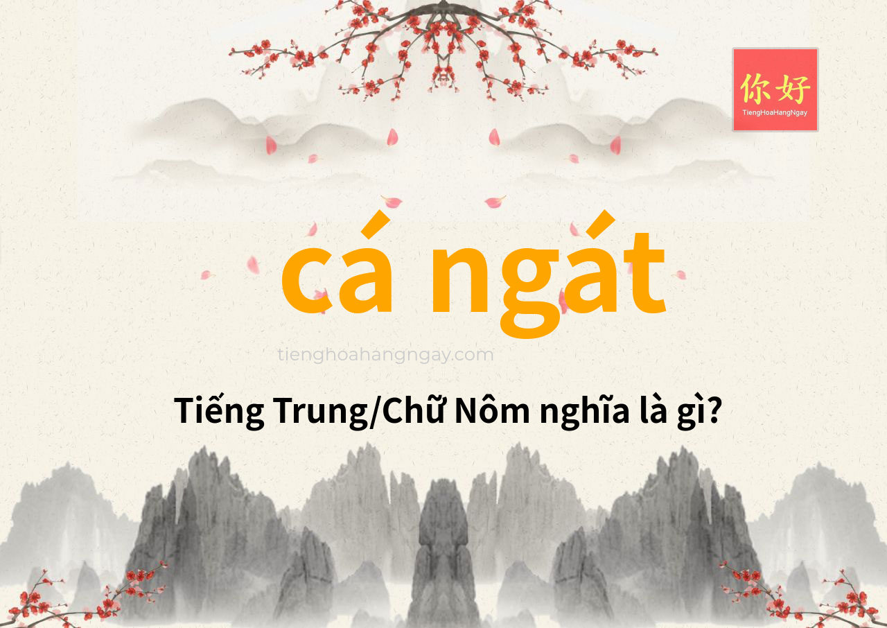 cá ngát tiếng Trung là gì?